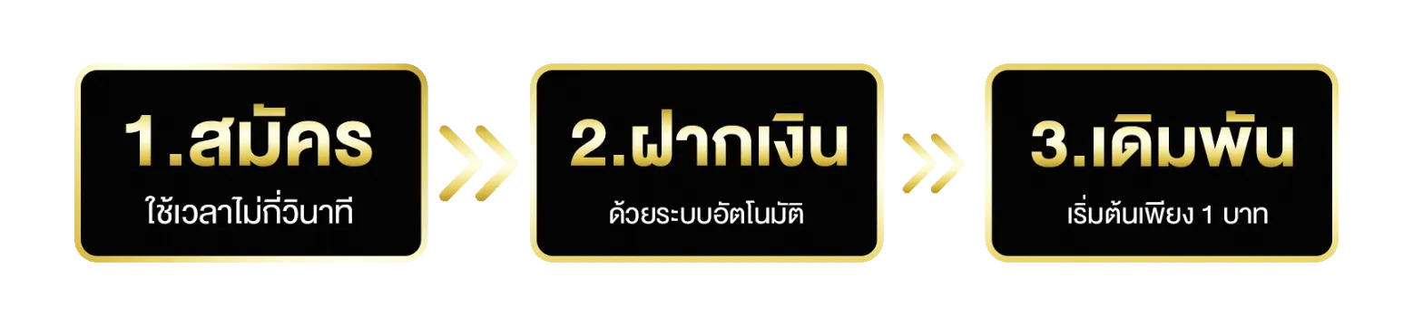 mpkwin13